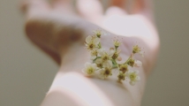 Global skin allergy testing market to hit $771.5m by 2028